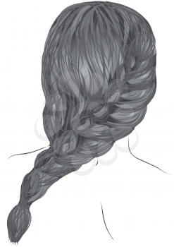 plait hair isolated on a white backgrouind