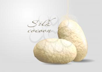 silk cocoon. two cocoon on gray background