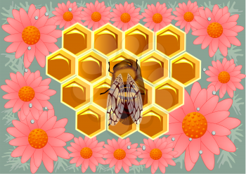 beeswax and flowers. working bee on honeycells 