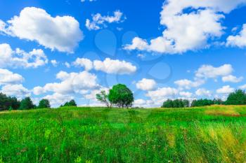 Summer landscape with green grass and blue sky