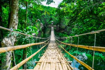 Bamboo pedestrian suspension bridge over river in tropical forest, Bohol, Philippines