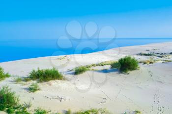 Summer landscape with white sand dunes, bushes and sky. Curonian Spit, Baltic sea. UNESCO World Heritage Site.