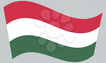 Flag of Hungary waving on gray background