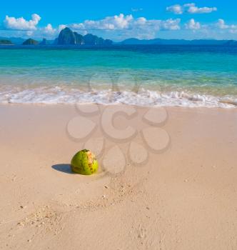 Beautiful tropical sand beach and coconut, Palawan, Philippines