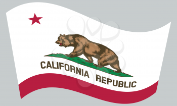 Californian official flag, symbol. American patriotic element. USA banner. United States of America background. Flag of the US state of California waving on gray background , vector