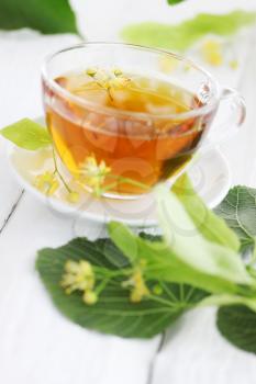 cup of lime tea with  lime blossoms