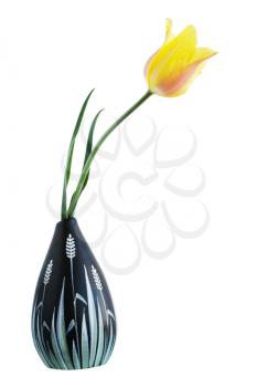 yellow tulip in a vase isolated on white background