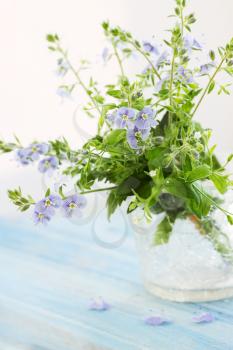 Bouquet of spring flowers in a vase violet wild