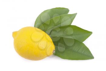 Lemon with leaves on a white background.