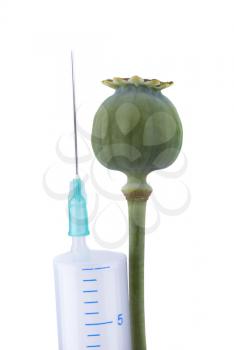 Head poppy and syringe.