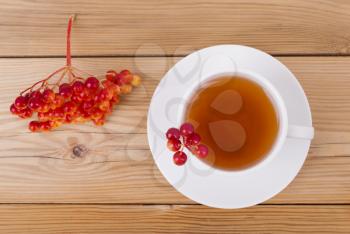 Tea with red viburnum berries