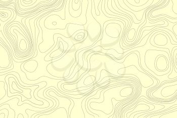 Topographic map of the terrain. Vector illustration .
