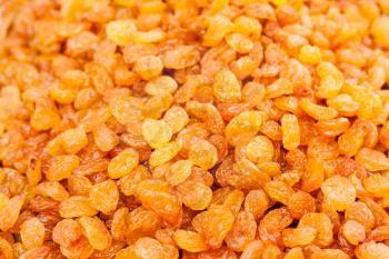 Golden Dried Raisins Background