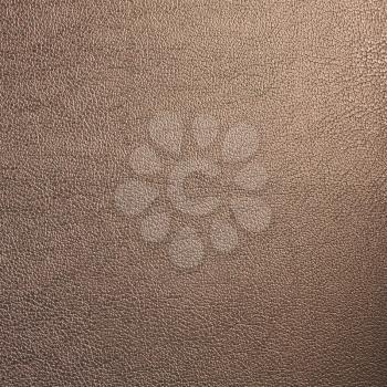 Leather Texture Made From Deer Skin
