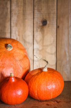 Pumpkins On Grunge Wooden Backdrop, Background Table. Autumn, Halloween, Pumpkin, Copyspace