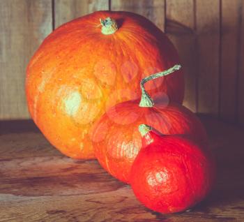 Pumpkins On Grunge Wooden Backdrop, Background Table. Autumn, Pumpkin. Toned Instant Photo
