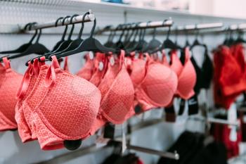 Female Woman Pink Bra Brassiere On Hanger In Store Of Shopping Center.