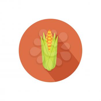 Corn icon with shadow in flat design