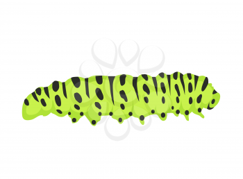 Agriculture pest caterpillar icon. Macro of caterpillars isolated on white. Polyxena caterpillar vector illustration