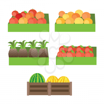Set of boxes with fruits. Vector in flat design. Fresh apples, oranges, pineapples, pomegranate, melons, watermelons on market. Delivery products, assortment illustration. Isolated on white 