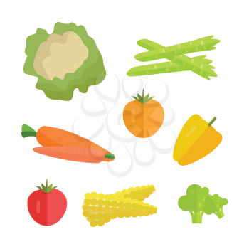 Set of vegetables vector. Flat design. Carrot, tomato, pepper, paprika, corn, broccoli, asparagus cauliflower illustrations for conceptual banners icons infographics. Isolated on white background.