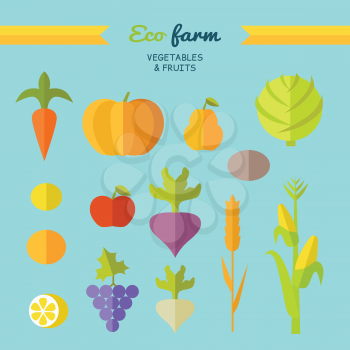 Set of fruits vegetables vector. Flat design. Eco farm. Carrot, pumpkin, pear, apple, cabbage, beets, radishes, lemon grapes corn potatoe illustrations for conceptual banners icons infographic