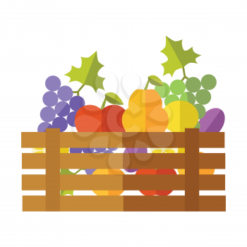 Fresh fruits at the market vector. Flat design. Delivery farm products, grocery store assortment, foods for diet concept. Wooden box full of apple, grape, pears, plums, lemon. Isolated on white 