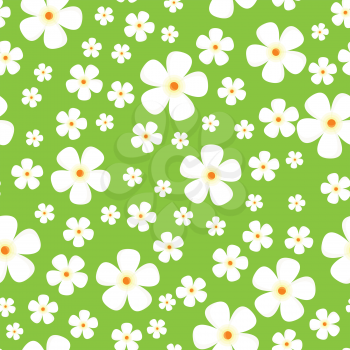 Seamless pattern with meadow Alpic flowers. White flowers isolated on green background. For posters, covers, wrapping papers, wallpapers design. Modern graphic in flat style. Vector illustration