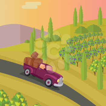 Track carries baskets with grape for wine production. Vineyard plantation of grape-bearing vines, grown for winemaking, raisins, table grapes and non-alcoholic juice. Vinegrove green valley. Vector