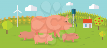 Farmyard vector illustration. Flat design. Pig with piglets standing against the farm landscape, fields on background. Organic farming concept. Traditional agriculture. Modern ecological farm.