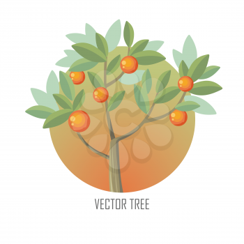 Orange tree with green leaves and ripe oranges. Vector tree round icon. Tree forest, leaf tree isolated, tree branch nature green, plant eco branch tree, organic natural wood illustration.