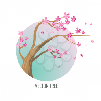 Vector tree. Sakura isolated on white. Full blossom of traditional asian cherry tree, with falling petals. Japanese cherry, Prunus serrulata. Cherry blossom. National flower of Japan. Pink flowers