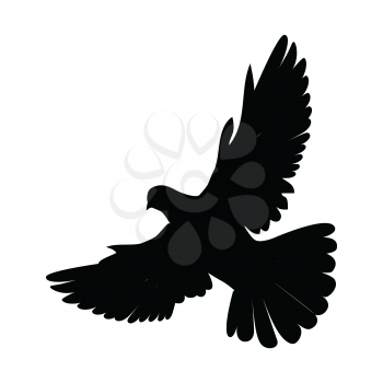 Pigeon vector. Religion, wedding, peace, pacifism, concept in black color. Illustration for religion attributes, childrens books illustrating. White pigeon flying wings spread isolated on white.
