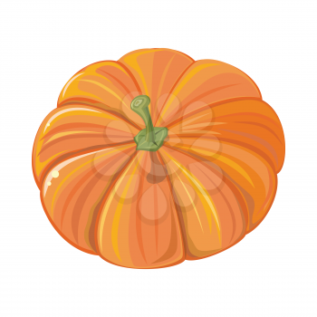 Pumpkin isolated on white in flat style. Cultivar of squash round plant deep yellow to orange coloration. Edible fruit. Autumn vegetable. Jack-o-lanterns for decoration at Halloween. Vector