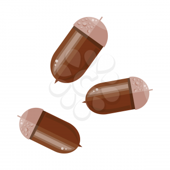 Acorns isolated on white. Image of autumn acorns. Oak nut or nut of the oaks. Seed enclosed in tough, leathery shell, and borne in cup-shaped cupule. Sign symbol of autumn. Three acorn nuts. Vector