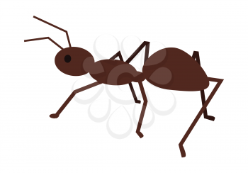 Ant vector illustration in flat style. Social insect illustration for hard working, teamwork, collectivism concepts.  Pest control. Isolated on white background