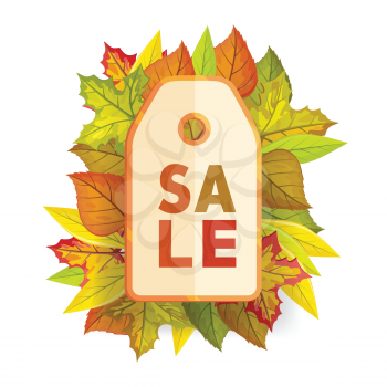 Autumn sale tag label template. Fall sale, autumn leaves, autumn background, discount tag price, season promotion, offer advertising. Foliage isolated. Autumn sale tag element. Vector illustration