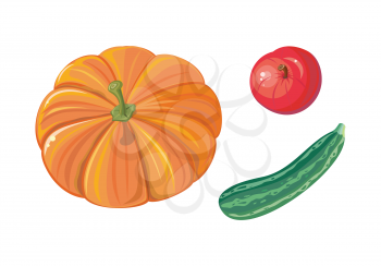 Set of autumn vegetables vectors. Flat design. Ripe orange pumpkin, red apple, striped green zucchini. Healthy vegetarian organic food. Harvest concept. Illustration for plant farm, grocery store ad