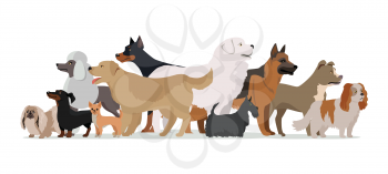 Group of different breeds dogs stand on white background. Dogs banner with space for text. Vector illustration in flat style. Cartoon dog character, pet animal