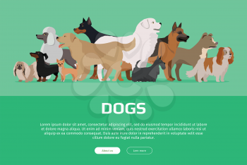 Group of different breeds dogs stand on green background. Dogs banner with space for text. Vector illustration in flat style. Cartoon dog character, pet animal. Website horizontal template.