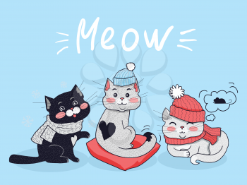 Funny cats vector concept. Flat Design. Three cute black and grey cats in scarfs and warm hats sitting, lying and dreaming about mouse on blue background with meow text. Winter clothes for pets  