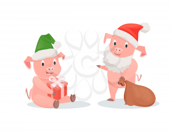 New Year pigs in Santa hats, gift box and sack. Piglets in festive outfits, winter holidays, zodiac symbol of Chinese horoscope vector illustrations