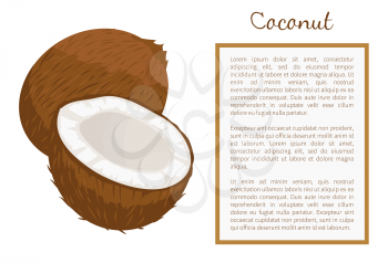 Coconut whole and cut exotic fruit vector poster frame for text. Tropical food, plant in brown shell, dieting milk for cocktails inside, vegetarian coco