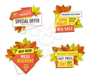 Exclusive offer buy now labels with maple and oak tree leaves, discounts on Thanksgiving day. Vector autumn sale tags yellow foliage isolated emblems