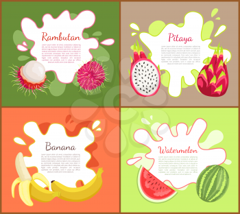 Rambutan and pitaya, posters set with text sample. Watermelon with seeds and vitamins, ripe banana, tasty tropical and exotic fruits with info vector