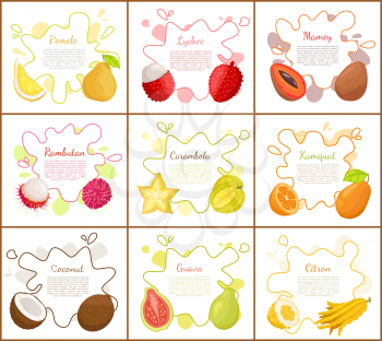 Pomelo and lychee, mango tropical fruit slices and carambola star. Posters set with text sample, coconut and citron, rambutan and papaya food vector