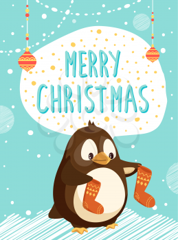 Merry Christmas card and penguin with knitted socks. Bird and stockings, knitwear and Xmas tree decorations. Winter holiday and Arctic animal vector