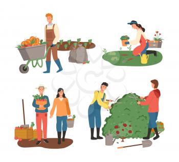 Agriculture and farming vector, husbandry and harvesting, man pushing carriage loaded with pumpkins, woman planting, cutting bushes gardening team