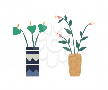 Bouquet made up of lilies vector, vase with flowers, flowering and blooming flat style. Isolated set of floral decoration, house plant with leaves
