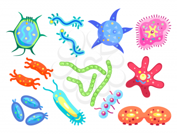 Bacteria micro creatures organisms set. Types of germs and microbes rounded shaped and chained pathogen elements. Viral molecules isolated on vector